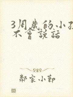 3周岁的小孩还不会说话