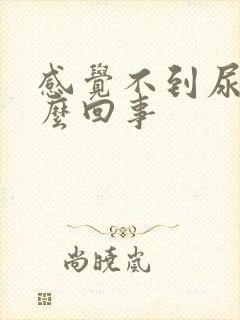 感觉不到尿胀怎么回事