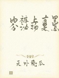 内裤上有黑色的分泌物是怎么回事