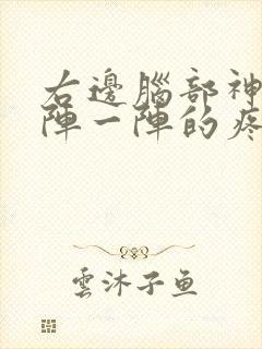 右边脑部神经一阵一阵的疼