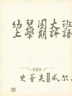 幼儿园大班幼儿上学期评语