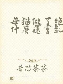 母猫做了绝育为什么还会乱尿