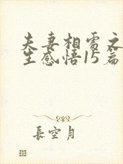 夫妻相处之道人生感悟15篇