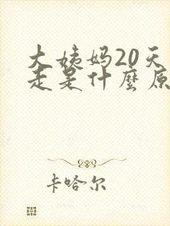 大姨妈20天不走是什么原因