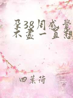 孕38周感觉尿不尽一直想尿