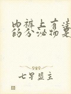 内裤上有淡黄色的分泌物是怎么回事