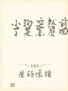 小狗突然前腿瘸了是怎么回事