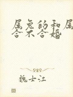 属兔的和属羊的合不合婚