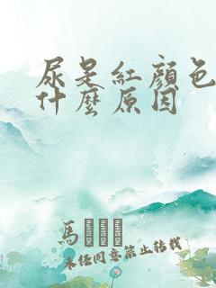 尿是红颜色的是什么原因