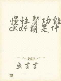 慢性肾功能不全ckd4期是什么意思