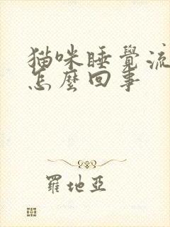 猫咪睡觉流口水怎么回事