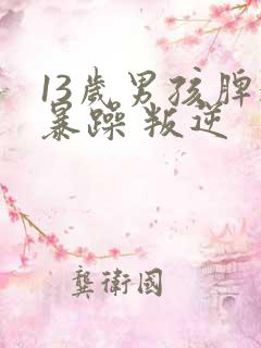 13岁男孩脾气暴躁 叛逆