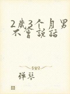 2岁3个月男孩不会说话