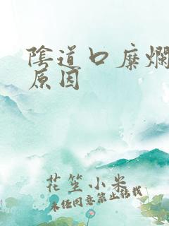 阴道口糜烂什么原因