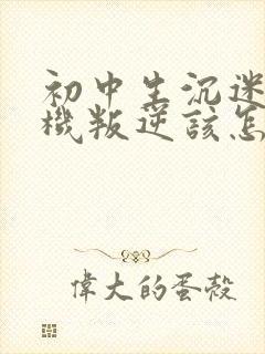 初中生沉迷于手机叛逆该怎样教育