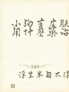 小狗有皮肤病了用什么药治疗