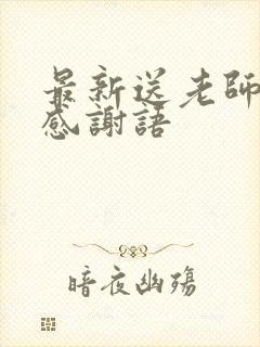 最新送老师锦旗感谢语