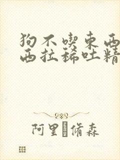 狗不吃东西吃东西拉稀吐精神很好