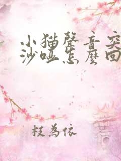 小猫声音突然变沙哑怎么回事