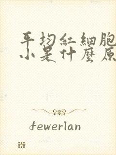 平均红细胞体积小是什么原因