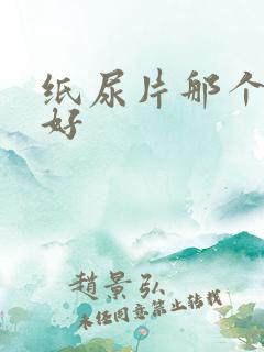 纸尿片那个牌子好