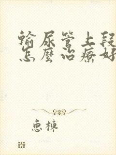 输尿管上段结石怎么治疗好