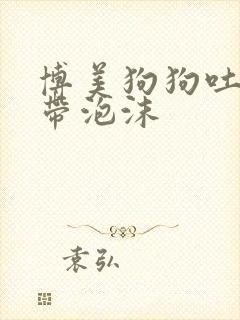 博美狗狗吐黄水带泡沫