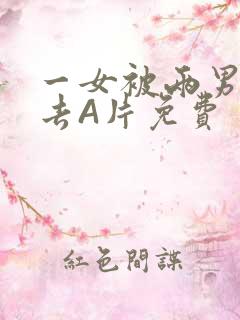 一女被两男桶进去A片免费