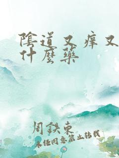 阴道又痒又痛用什么药