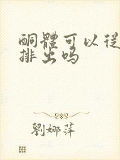 酮体可以从尿中排出吗