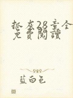 抓灰28章全部免费阅读