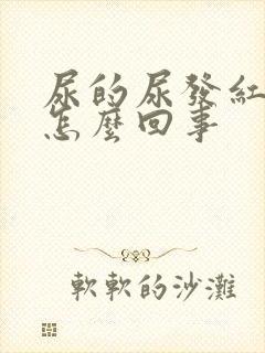 尿的尿发红色是怎么回事