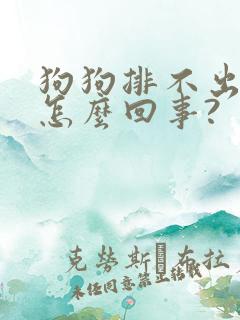 狗狗排不出尿是怎么回事?