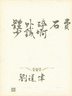 体外碎石费用多少钱啊