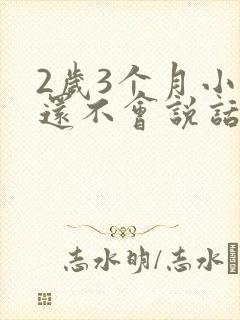 2岁3个月小孩还不会说话