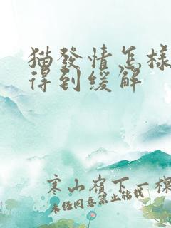 猫发情怎样才能得到缓解