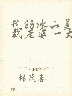 我的冰山美女总裁老婆 一大王