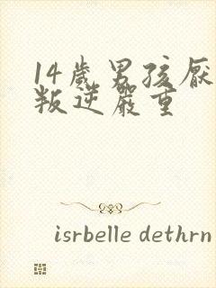 14岁男孩厌学叛逆严重