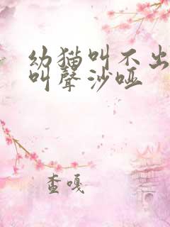 幼猫叫不出来 叫声沙哑