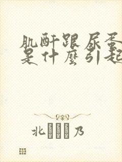 肌酐跟尿蛋白高是什么引起的呢