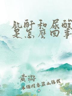 肌酐和尿酸都高是怎么回事