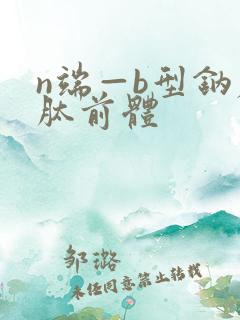 n端—b型钠尿肽前体