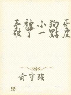 手被小狗牙齿划破了一点皮流血怎么办