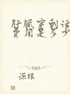 肝脏穿刺活检的费用是多少