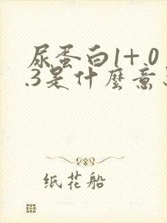 尿蛋白1+ 0.3是什么意思