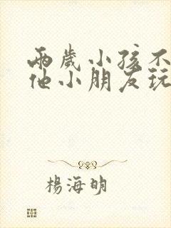 两岁小孩不跟其他小朋友玩怎么办