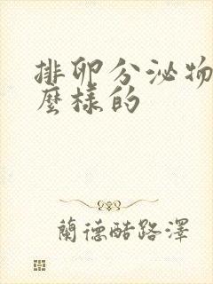 排卵分泌物是什么样的