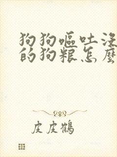 狗狗呕吐没消化的狗粮怎么办