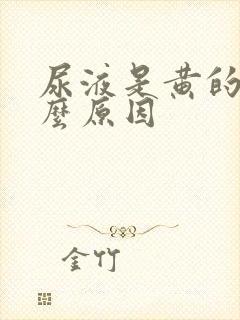 尿液是黄的是什么原因