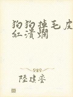 狗狗掉毛皮肤发红溃烂